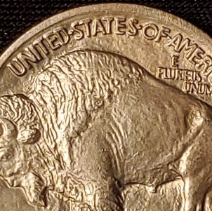 1913-P-Buffalo-Nickel-For-Grading